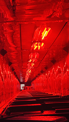 1785401824698340.jpg